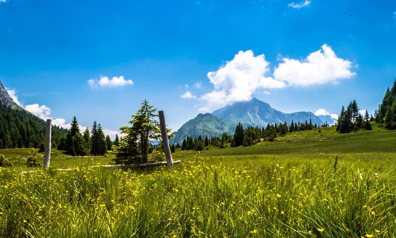 Residence Cavanis Wellness & Spa Sappada Dış mekan fotoğraf